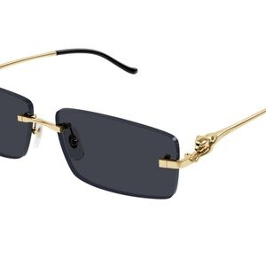Cartier panther